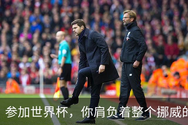参加世界杯，你肩负着整个挪威的期望！哈兰德：我喜欢这样
